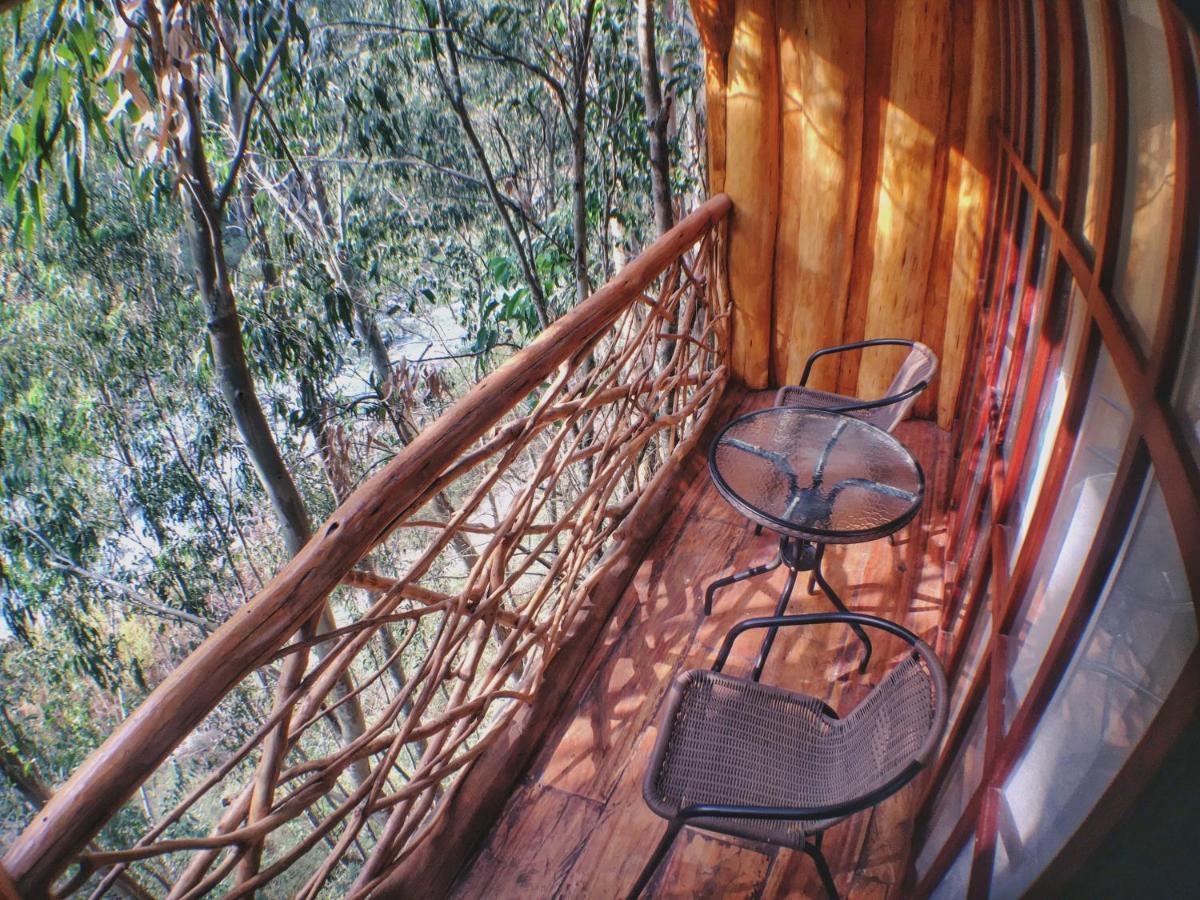 Eco Quechua Lodge Santa Teresa  Eksteriør bilde