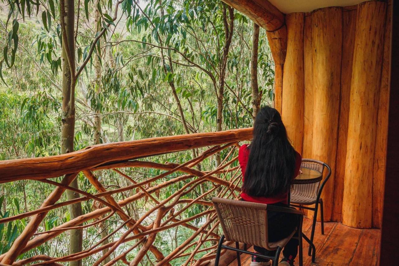 Eco Quechua Lodge Santa Teresa  Eksteriør bilde