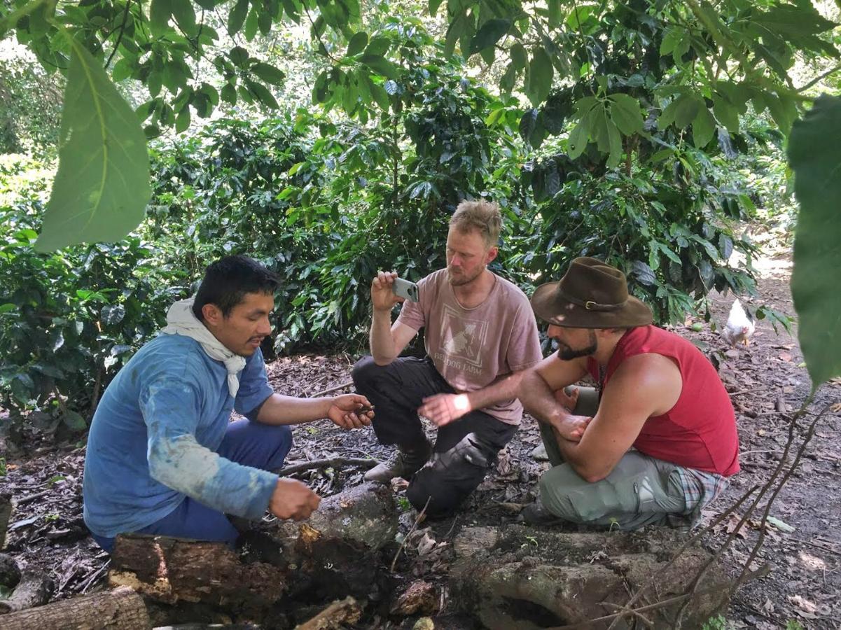 Eco Quechua Lodge Santa Teresa  Eksteriør bilde
